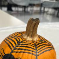 spyder pumpkin